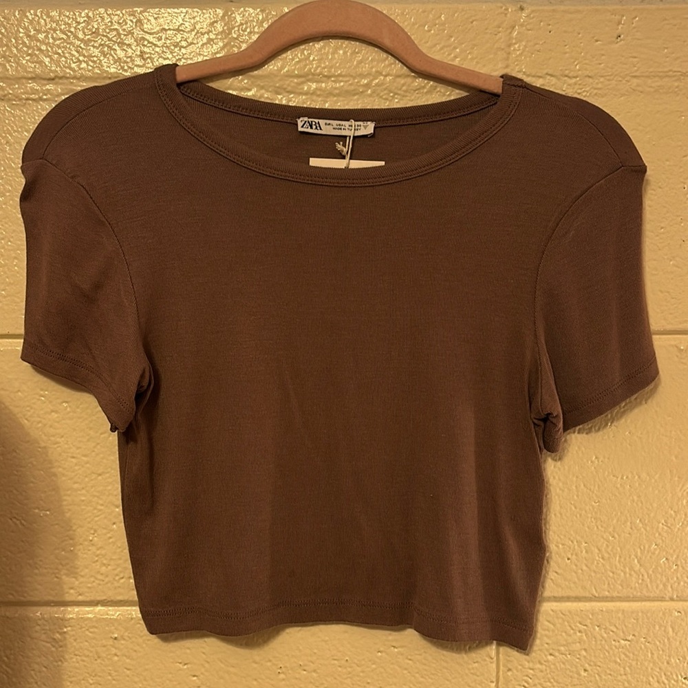 Zara Cropped T-Shirt | Size Large